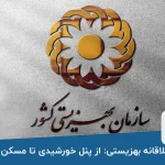 طرح‌های خلاقانه بهزیستی: از پنل خورشیدی تا مسکن مددجویان