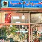 ویترین کاملیا، ضیافت رنگ و بو در خاطراتی که حالا یک بغض است