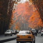 تپش هشتاد‌ساله ولیعصر؛ سکوت پرنده‌ها گم شد در بوق‌ها