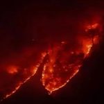 ادامه حریق در جنگل‌های هیرکانی پس از ۲۰ روز؛ پنج بالگرد و یک فروند هواپیمای ایلیوشین به منطقه اعزام شد / مدیر کل بحران گیلان: طی روز‌های آینده عدم بارش، افزایش دما و وزش باد گرم احتمال گسترش آتش‌سوزی را افزایش می‌دهد / انتقال چهار مصدوم حادثه آتش‌سوزی به مراکز درمانی/ معاون پزشکیان: درخواست کمک از کشور‌های دوست کردیم / رئیس محیط‌زیست: ۲ هواپیما و یک هلی‌کوپتر ترکیه فردا به الیت می‌رسند