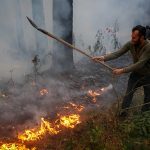 رئیس منابع طبیعی: آتش‌سوزی الیت در قلب جنگل هیرکانی نیست / نگرانی جدی برای گسترش به مناطق مسکونی وجود ندارد / تاکنون حدود ۸ هکتار از عرصه‌های جنگلی دچار آتش‌سوزی شده‌اند / تا کنون ۳۸ سورتی پرواز انجام شده است