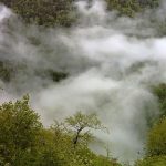 مدیریت بحران: آتش‌سوزی گسترده در جنگل‌های الیت تقریباً به طور کامل مهار شده/ تنها لکه‌های کوچک مرتبط با برگ‌سوزی و کنده‌سوزی باقی مانده‌اند