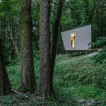 خانه ۴۰متری در دل جنگل؛ جای درست زندگی اینجاست، نه در این آلودگی!