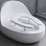 کپی‌کاری چینی‌ها این‌بار عالی جواب داد؛ تولد توالتی سنتی و فرنگی!