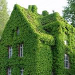 ساختمانی عجیب در لهستان که با فصل‌ها رنگ عوض می‌کند!