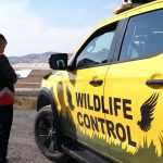 ایمنی بیشتر فرودگاه‌های ترکیه با ورود پرنده‌شناسان