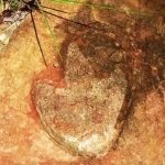 ببینید؛ مشاهده ردپاهای دایناسور اطراف اقیانوس اطلس! | عکس