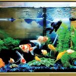 اورژانس: یک خانم با ۱۱۵ تماس گرفته و با گزارش علائم «کاهش هوشیاری»، درخواست اعزام فوری نیرو کرده، اما به کارشناس اعزامی گفته به دلیل قطع برق، اکسیژن آکواریوم قطع شده و ماهی‌ها حال خوبی ندارند/ او از اورژانس خواسته برای «اکسیژن‌رسانی به ماهی‌ها» اقدام کند