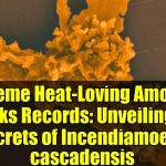 کشف معمای آمیبی که قوانین زیست را برهم  می‌زند | از داروهای مقاوم به گرما تا آنزیم‌های صنعتی پایدار