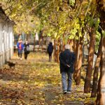 اداره شهر بدون مردم ممکن نیست